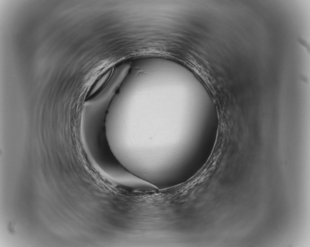 X0000096420193200802071710