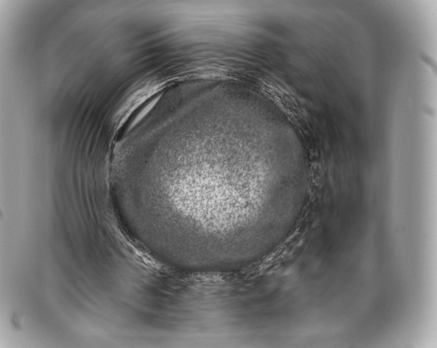 X0000096420194200802071710