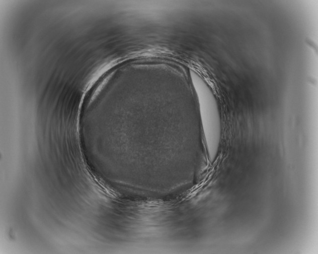 X0000096420196200802071710