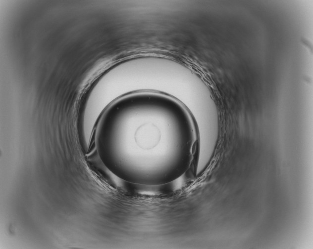 X0000096420197200802071710