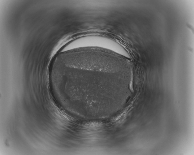 X0000096420198200802071710