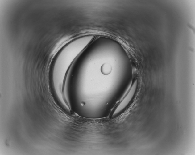 X0000096420199200802071710