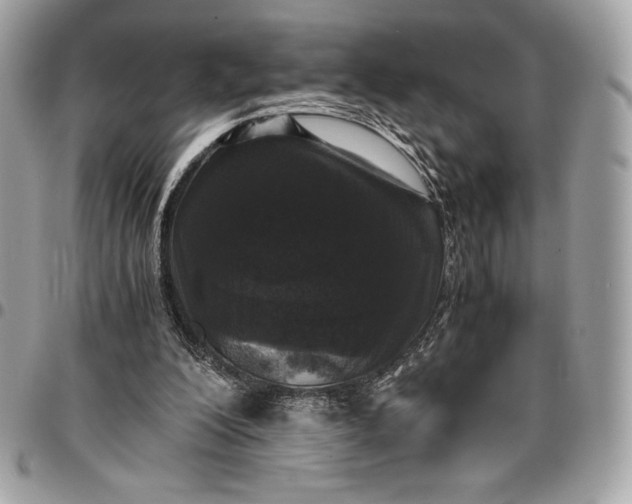 X0000096420200200802071710