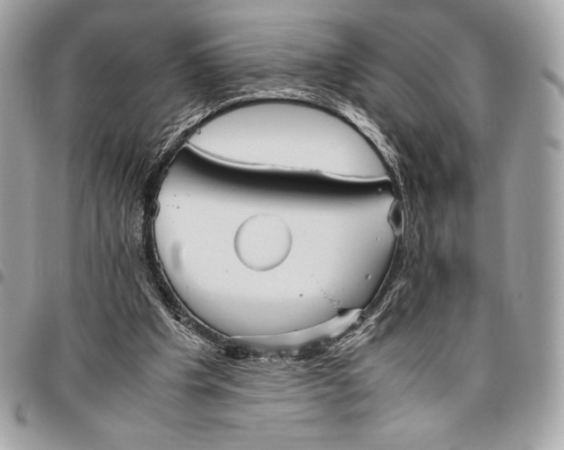 X0000096420201200802071710