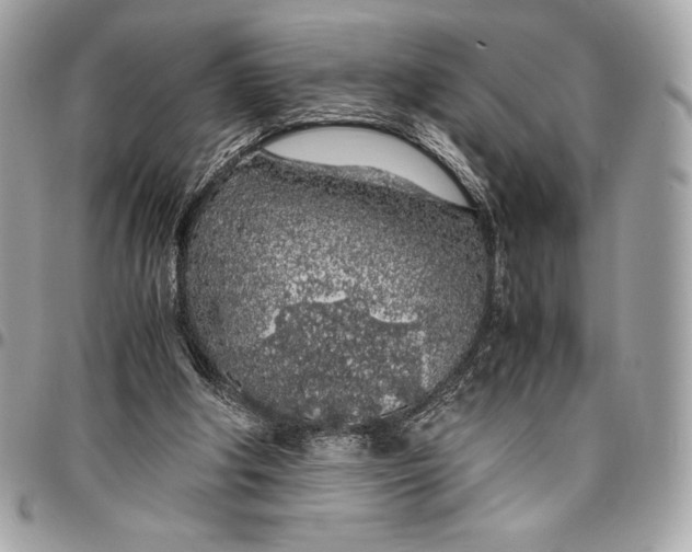 X0000096420202200802071710