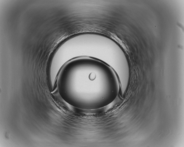 X0000096420203200802071710