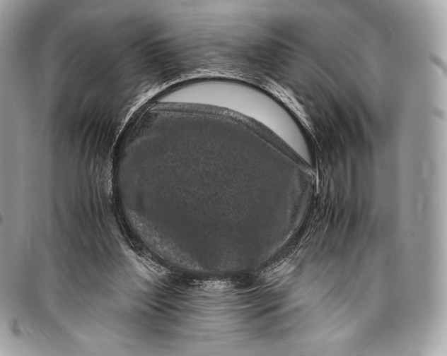 X0000096420204200802071710