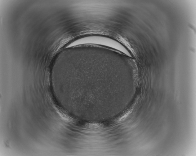 X0000096420205200802071710