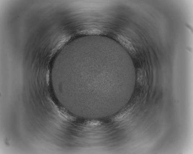 X0000096420206200802071710