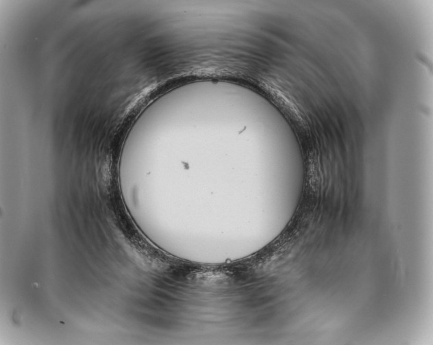 X0000096420208200802071710