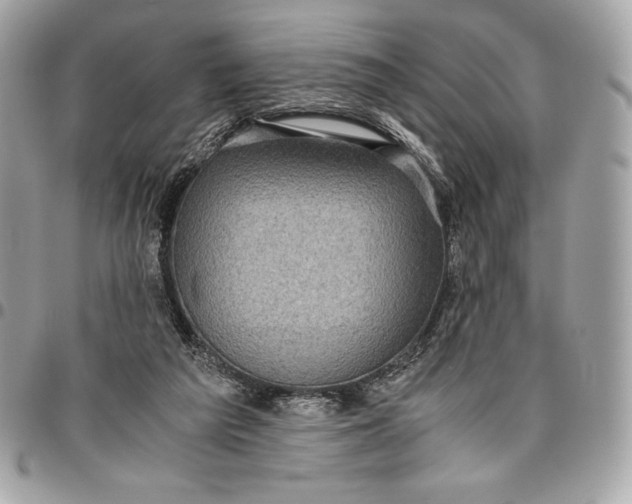 X0000096420209200802071710