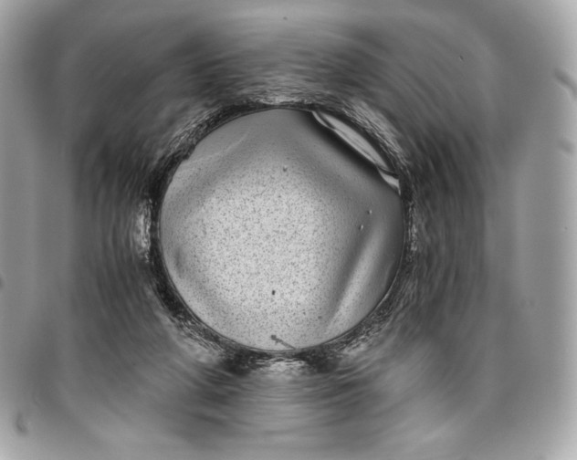 X0000096420210200802071710