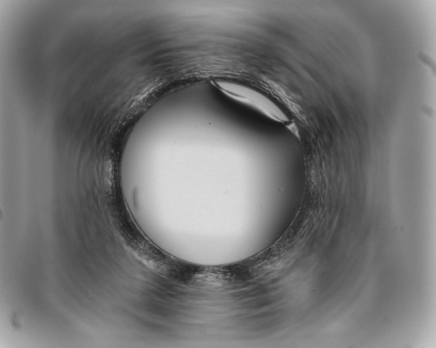 X0000096420211200802071710