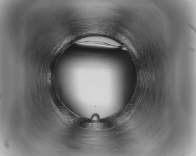 X0000096420212200802071710