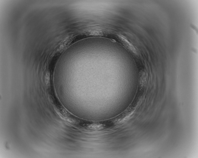 X0000096420213200802071710