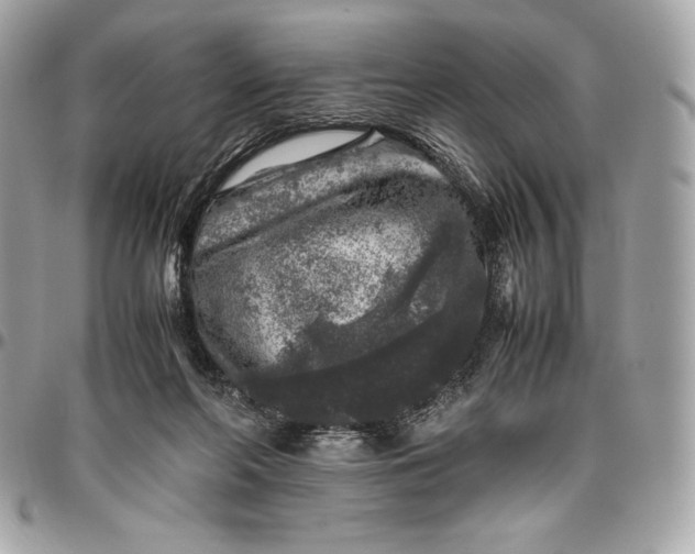 X0000096420214200802071710