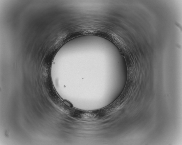 X0000096420215200802071710