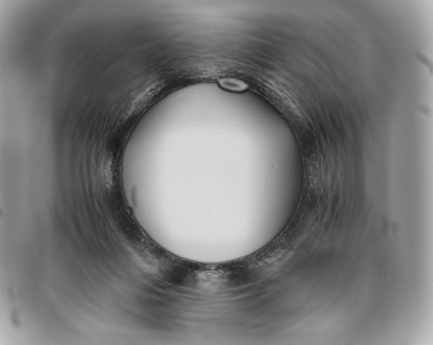 X0000096420216200802071710