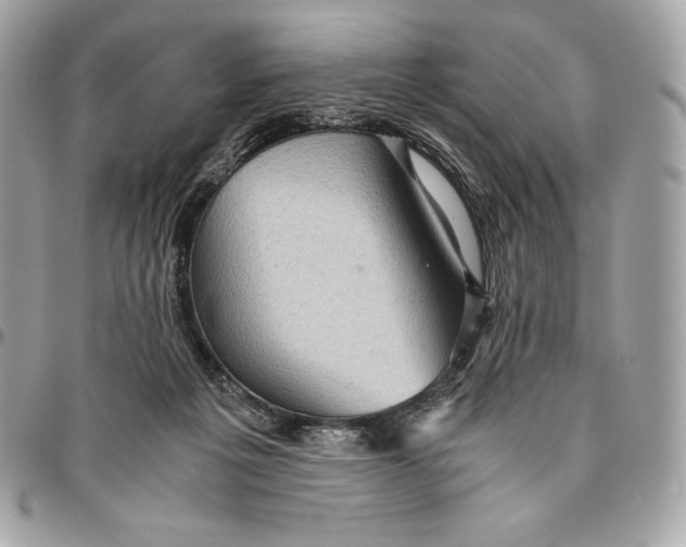 X0000096420217200802071710