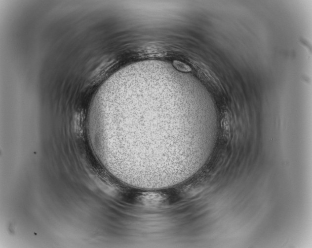 X0000096420218200802071710