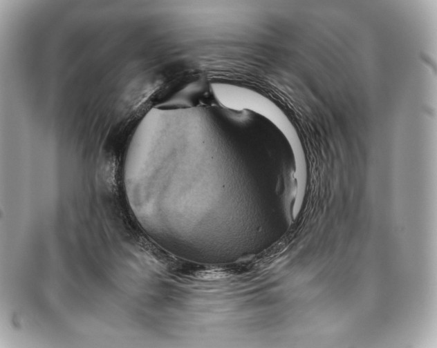 X0000096420219200802071710