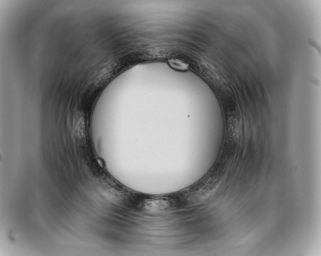 X0000096420220200802071710