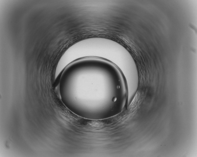 X0000096420221200802071710