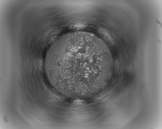 X0000096420222200802071710