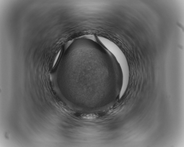 X0000096420223200802071710