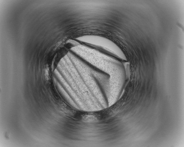 X0000096420224200802071710