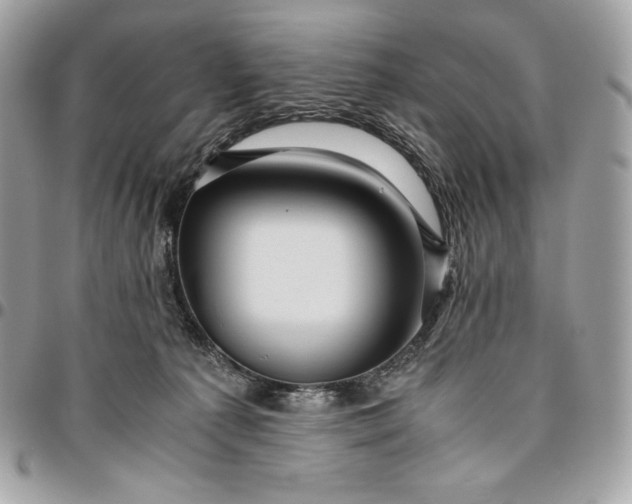 X0000096420225200802071710