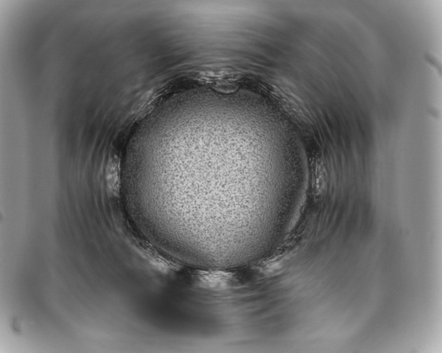 X0000096420226200802071710