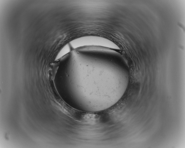 X0000096420227200802071710