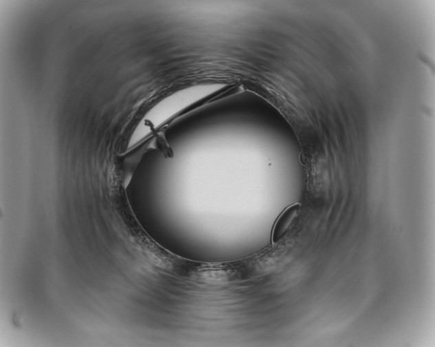 X0000096420228200802071710