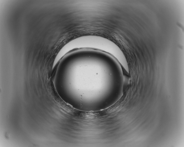 X0000096420229200802071710