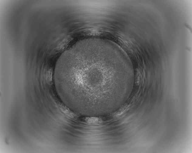 X0000096420230200802071710