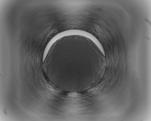 X0000096420231200802071710