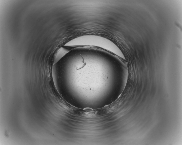 X0000096420232200802071710