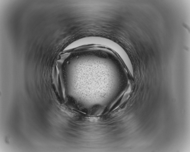 X0000096420233200802071710