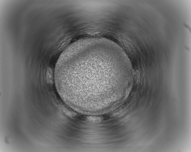 X0000096420234200802071710