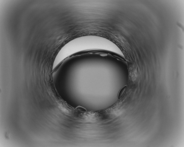 X0000096420235200802071710