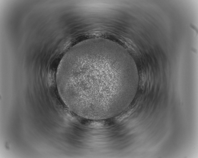 X0000096420236200802071710