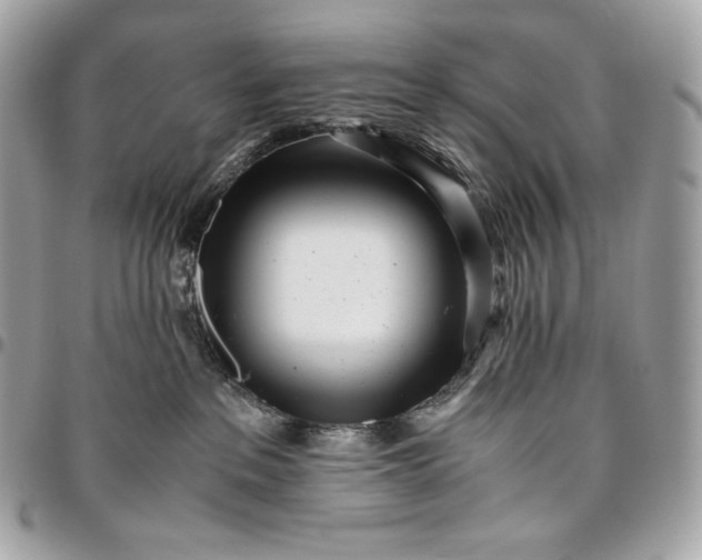 X0000096420237200802071710