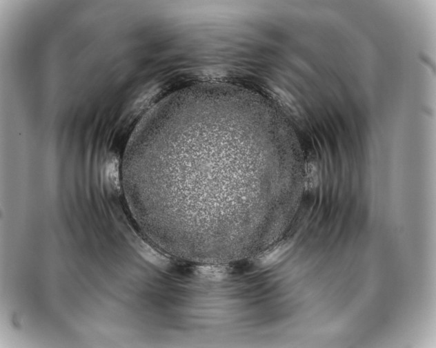 X0000096420238200802071710