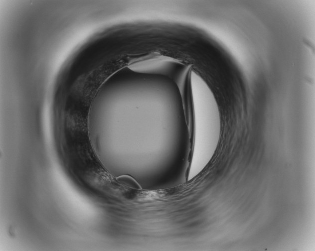 X0000096420239200802071710