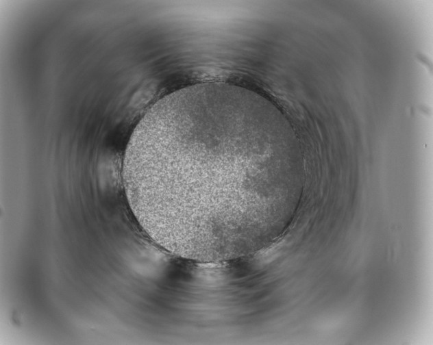 X0000096420240200802071710