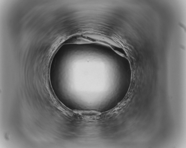 X0000096420241200802071709