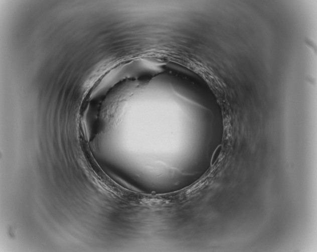 X0000096420242200802071709