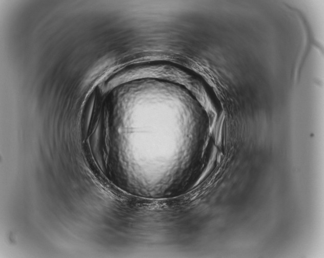 X0000096420243200802071709