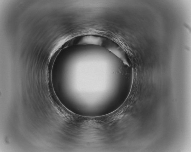 X0000096420244200802071709